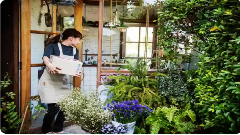 DecoradHouse Garden Tips by DecoratorAdvice Transform Your Outdoor Space with Smart Garden Ideas