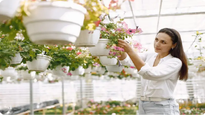 Garden Tips Decoradhouse Transform Your Outdoor Space with Smart Gardening Ideas